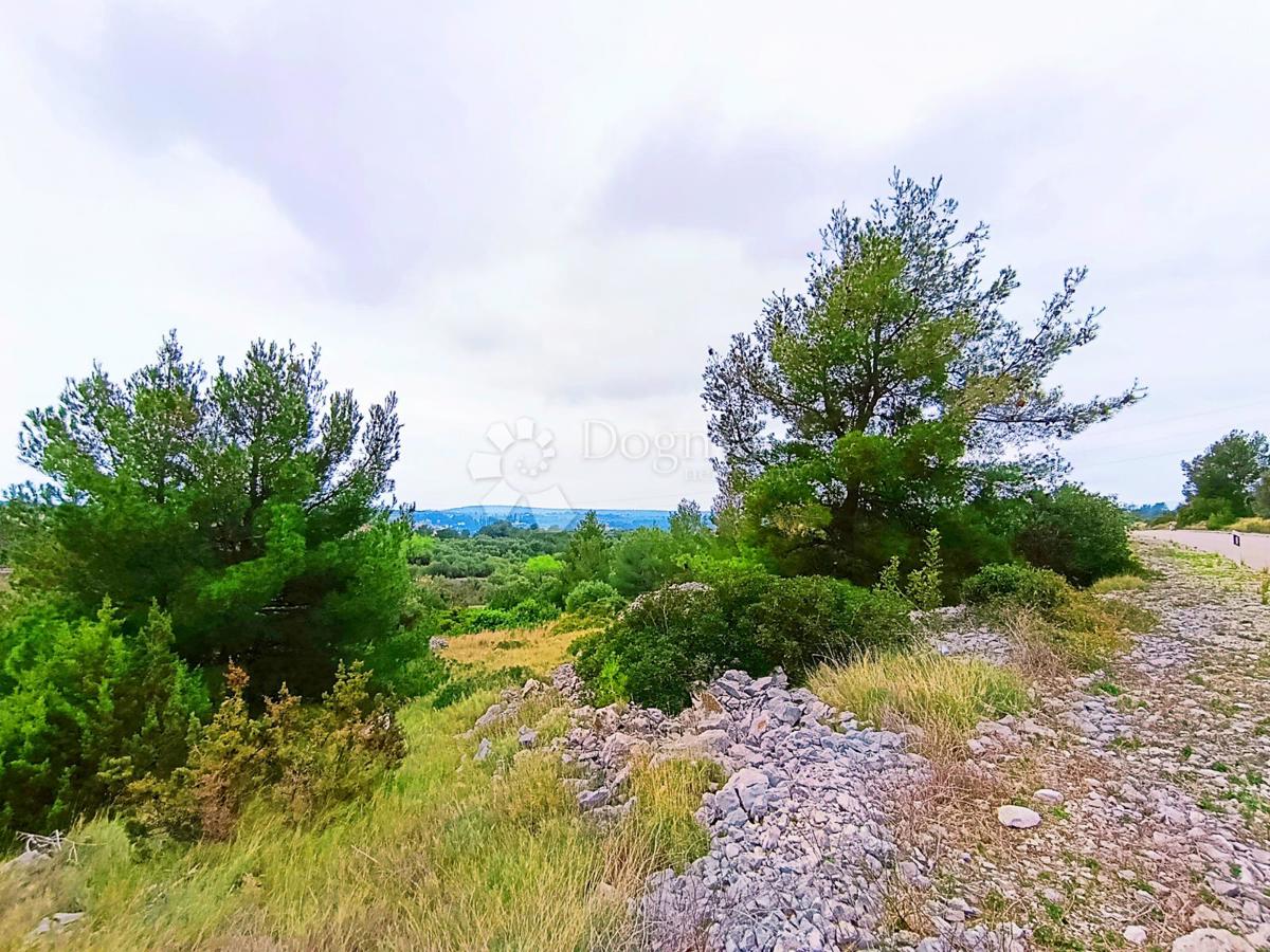 Terreno agricolo Milna, 9.608m2