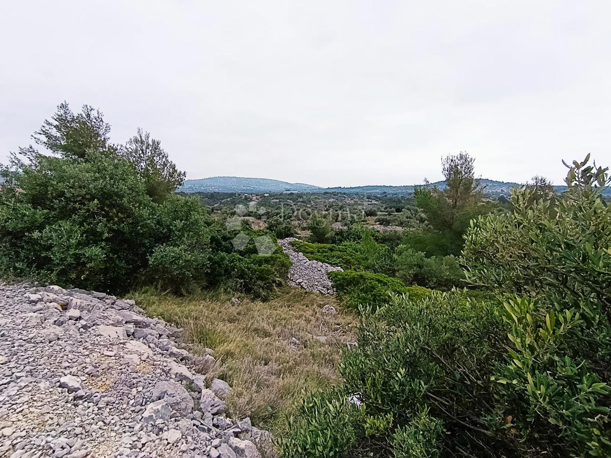 Terreno agricolo Milna, 9.608m2