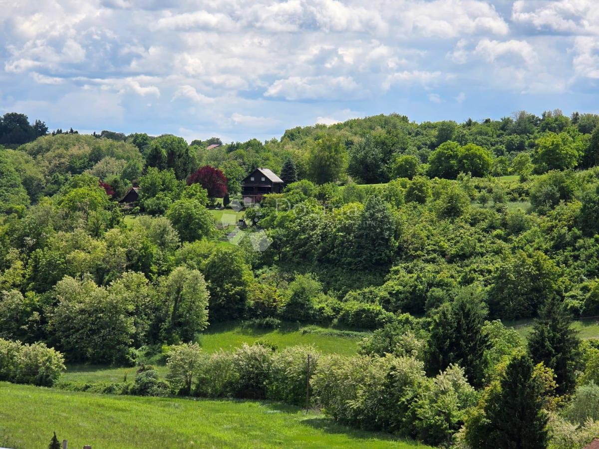 Casa Gornje Psarjevo, Sveti Ivan Zelina, 885m2