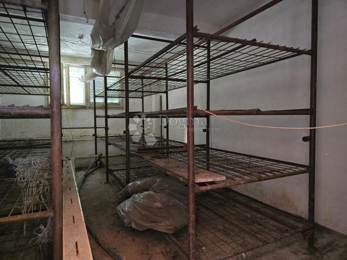 Casa Gornje Psarjevo, Sveti Ivan Zelina, 885m2