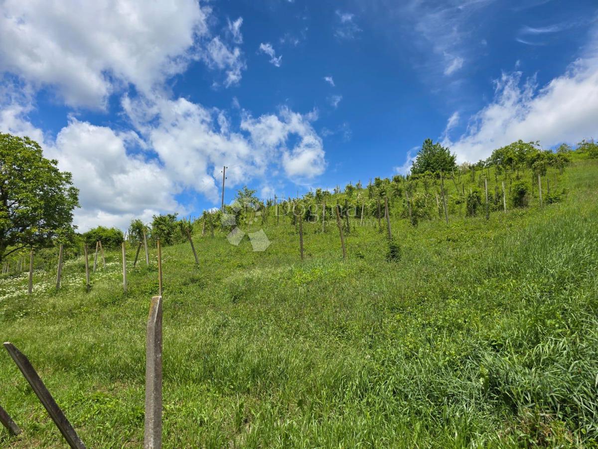 Casa Gornje Psarjevo, Sveti Ivan Zelina, 885m2