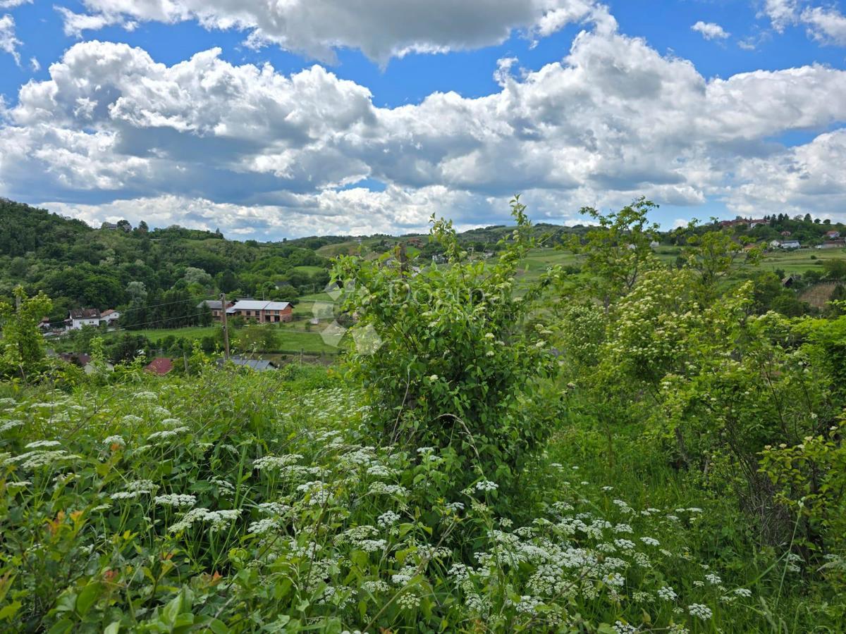 Casa Gornje Psarjevo, Sveti Ivan Zelina, 885m2