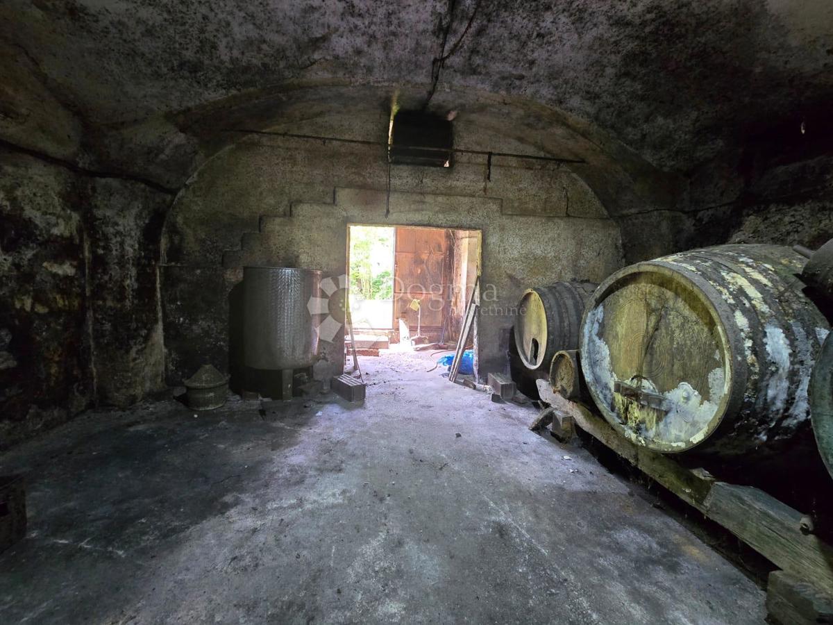 Casa Gornje Psarjevo, Sveti Ivan Zelina, 885m2