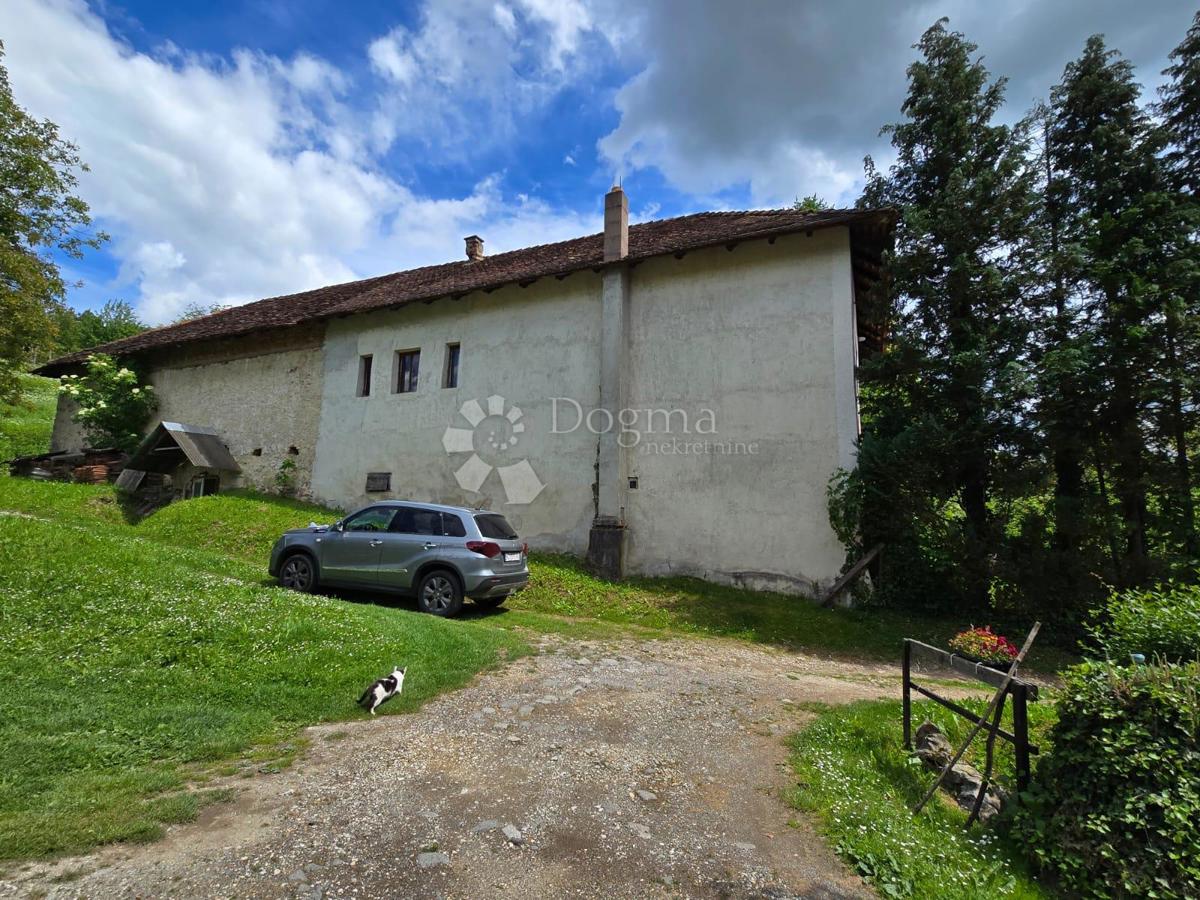 Casa Gornje Psarjevo, Sveti Ivan Zelina, 885m2