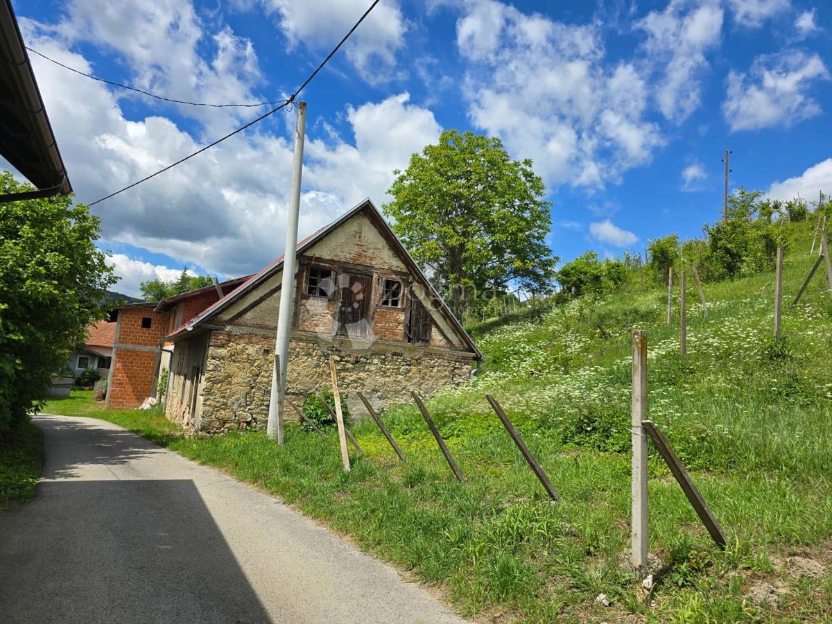 Casa Gornje Psarjevo, Sveti Ivan Zelina, 885m2