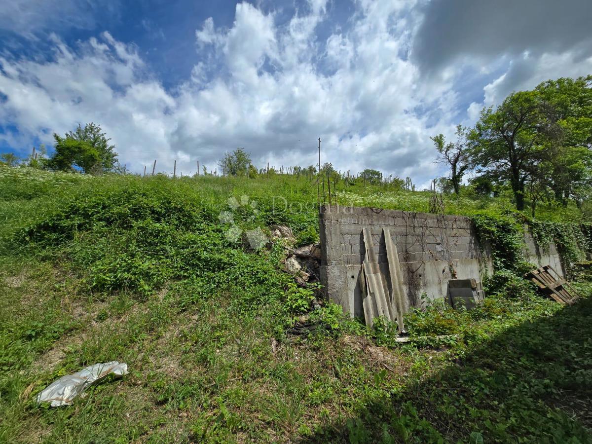 Casa Gornje Psarjevo, Sveti Ivan Zelina, 885m2