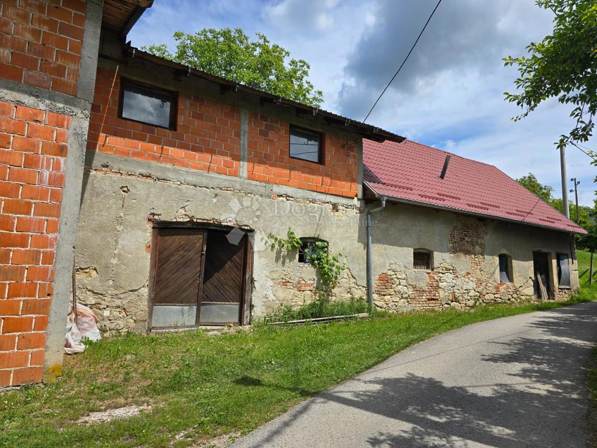 Casa Gornje Psarjevo, Sveti Ivan Zelina, 885m2