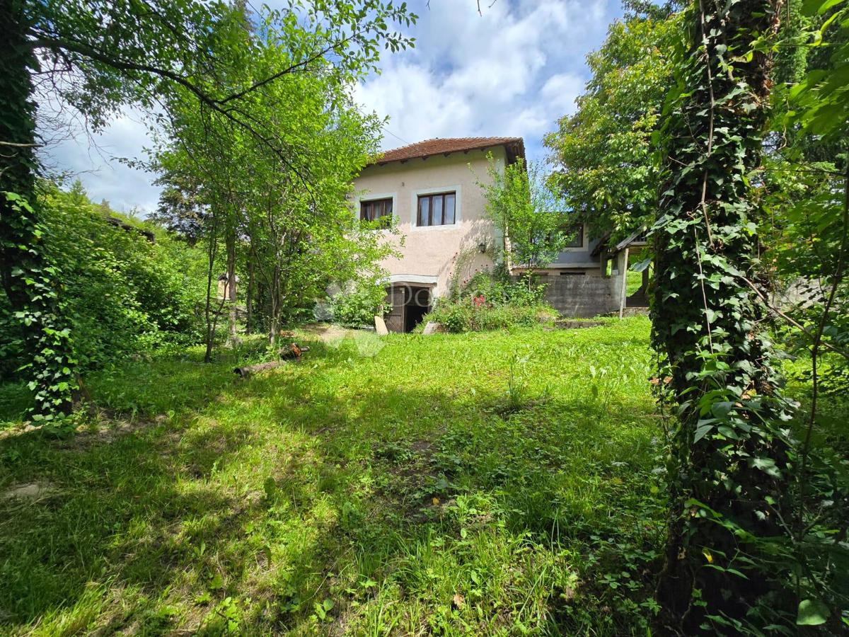 Casa Gornje Psarjevo, Sveti Ivan Zelina, 885m2