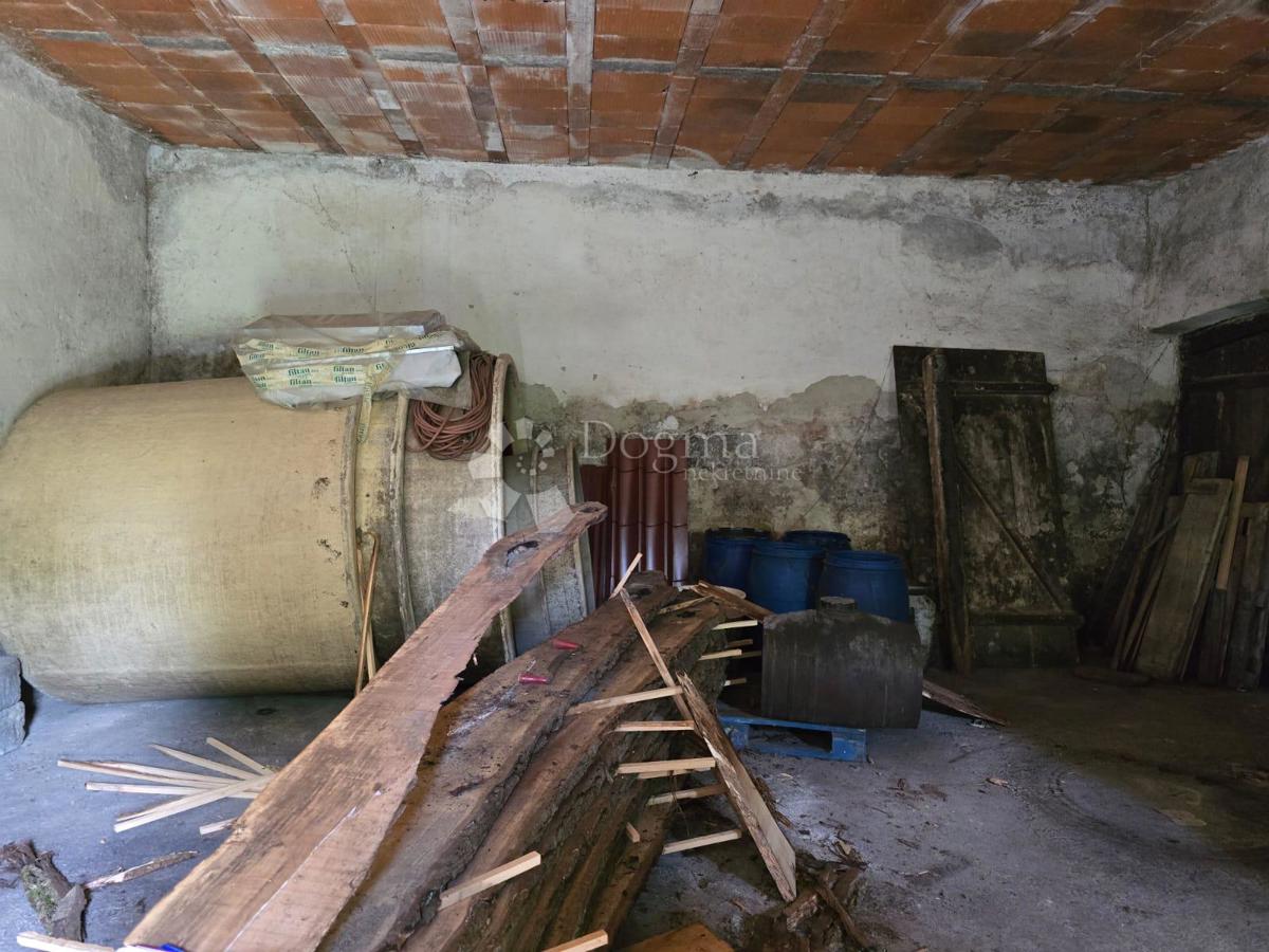 Casa Gornje Psarjevo, Sveti Ivan Zelina, 885m2