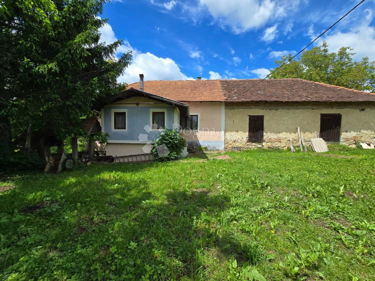 Casa Gornje Psarjevo, Sveti Ivan Zelina, 885m2