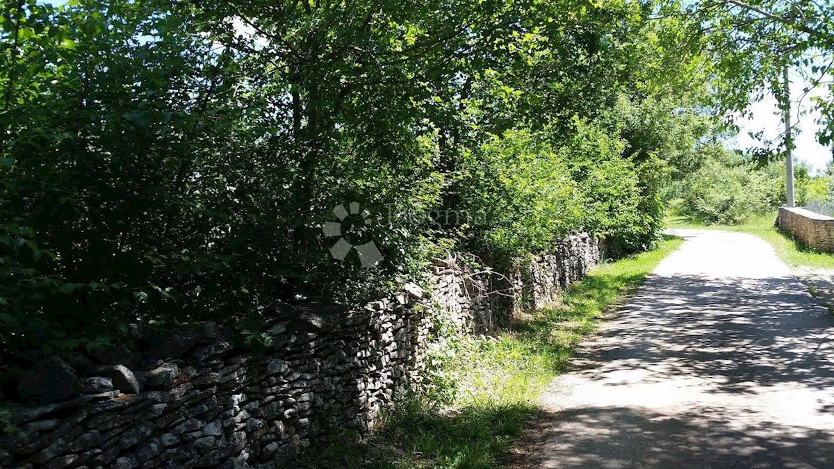 Terreno Svetvinčenat, 4.280m2