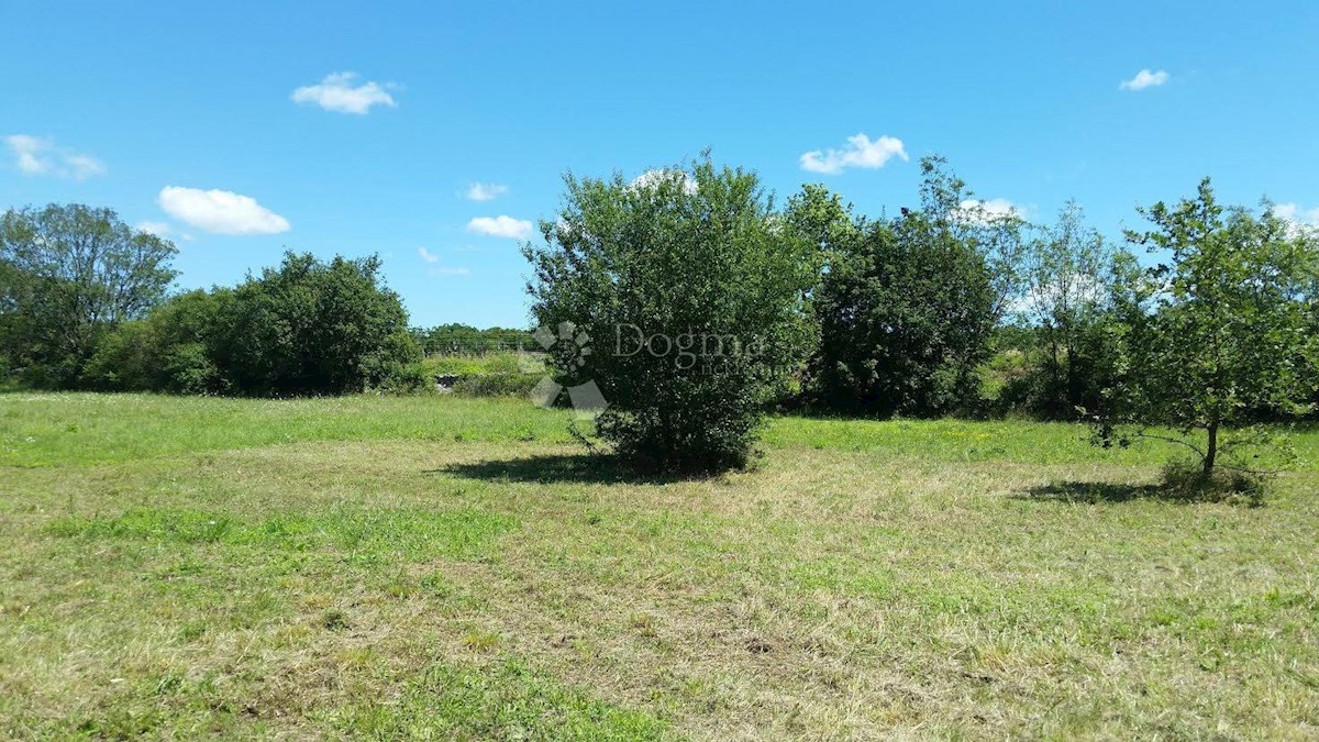 Terreno Svetvinčenat, 4.280m2