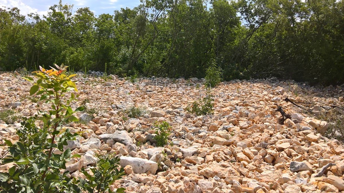 Terreno Blaževci, Vrbovsko, 6.294m2