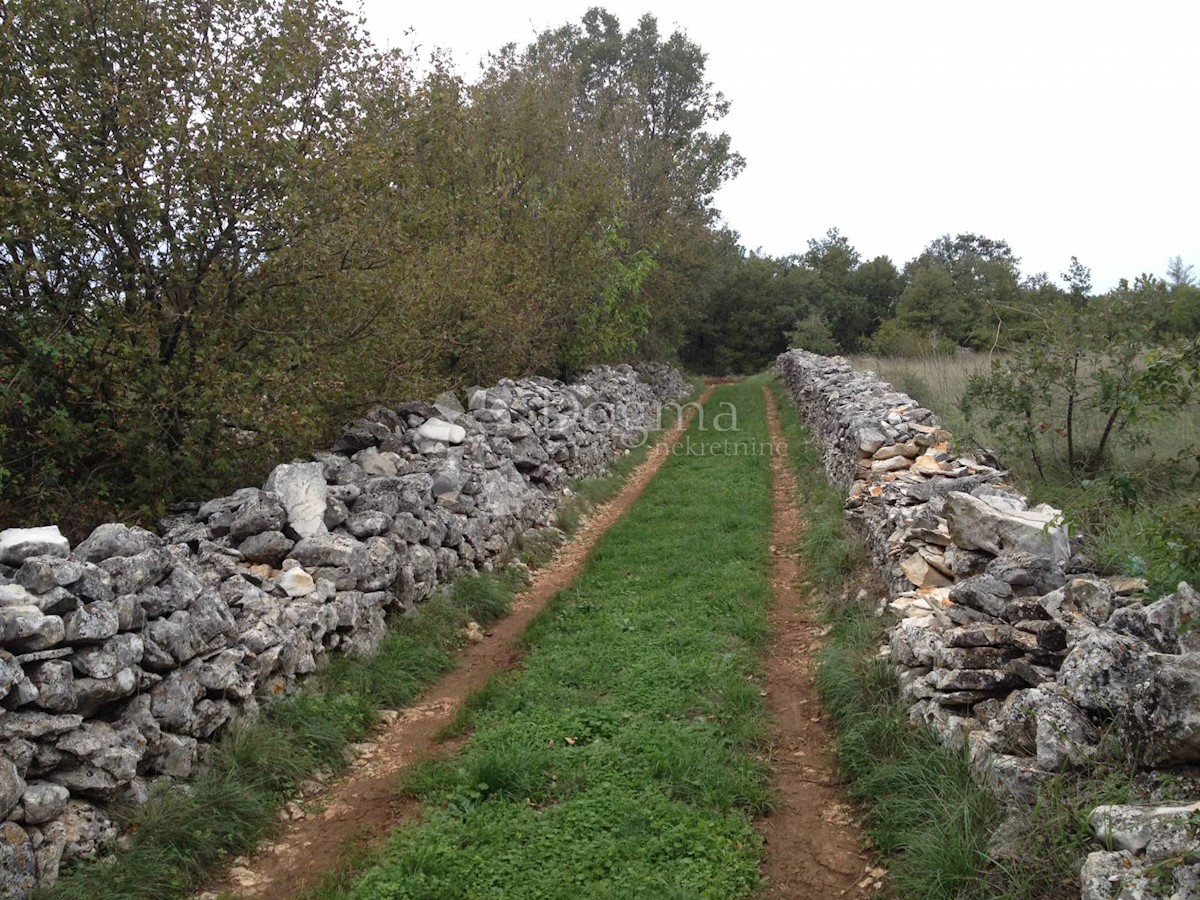 Terreno Svetvinčenat, 5.404m2