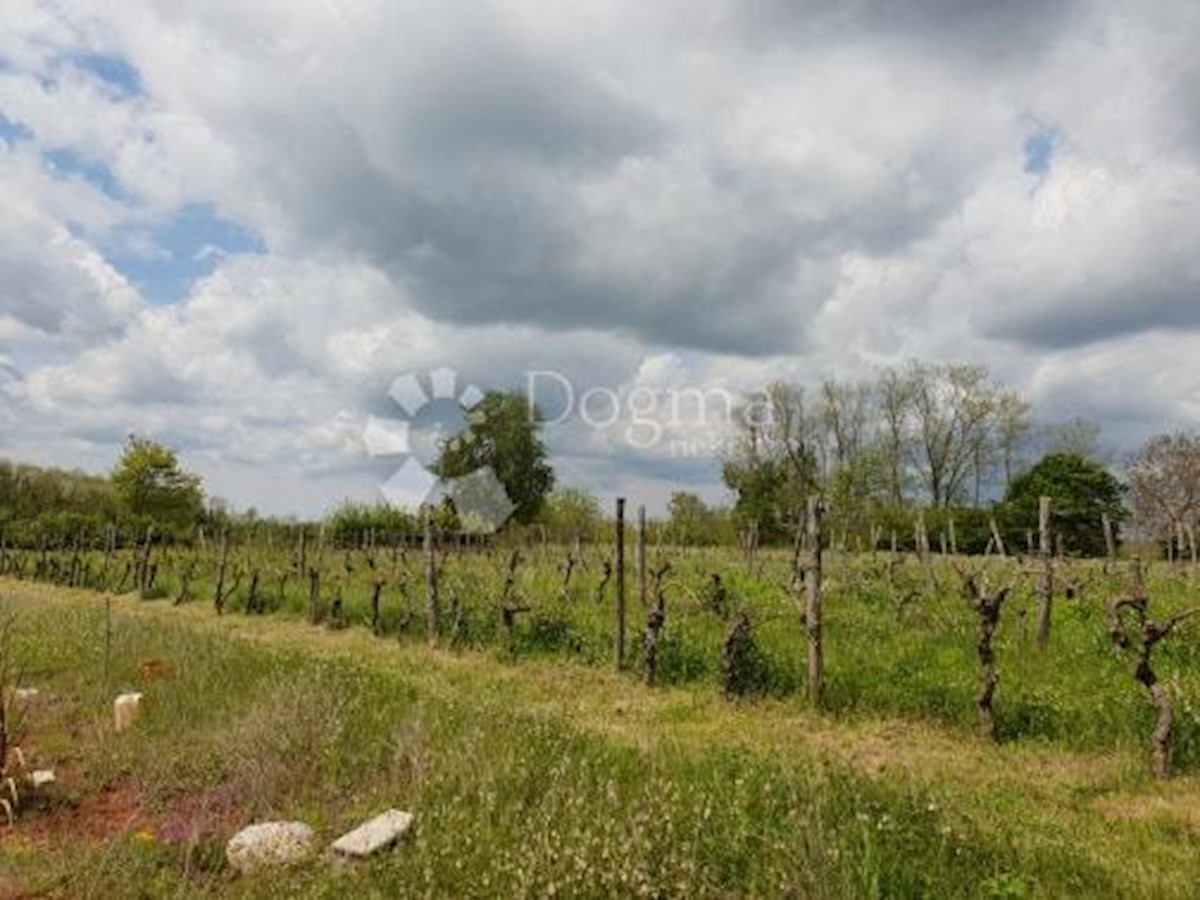 Terreno Heki, Pazin - Okolica, 13.079m2