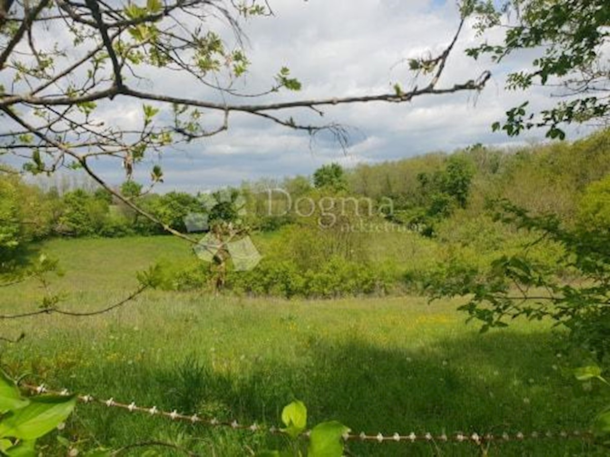 Terreno Heki, Pazin - Okolica, 13.079m2