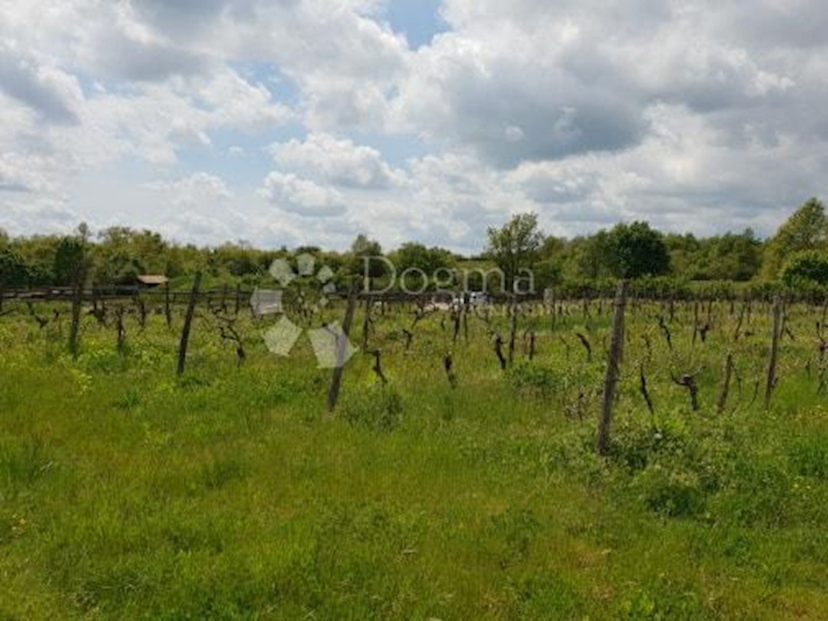 Terreno Heki, Pazin - Okolica, 13.079m2