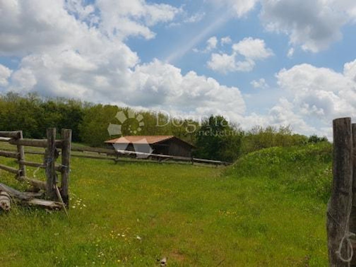 Terreno Heki, Pazin - Okolica, 13.079m2