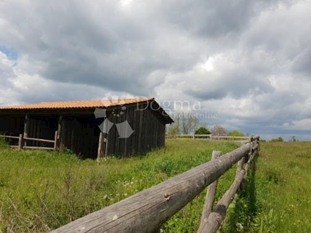 Terreno Heki, Pazin - Okolica, 13.079m2