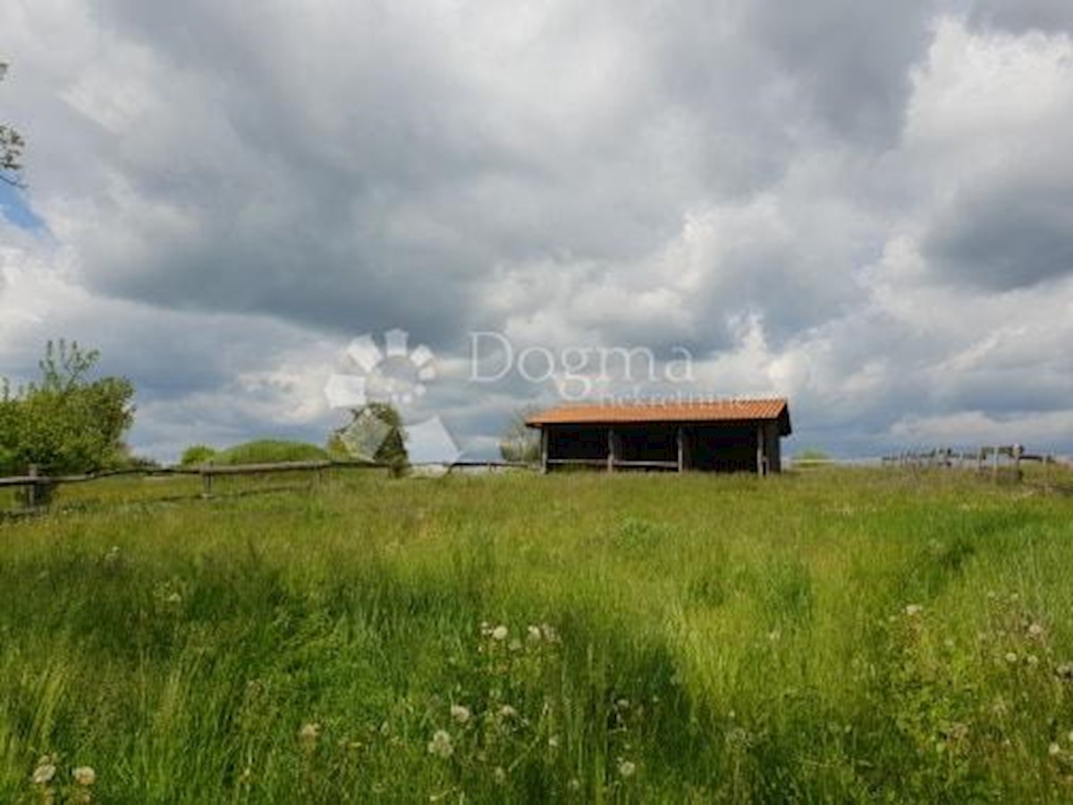 Terreno Heki, Pazin - Okolica, 13.079m2