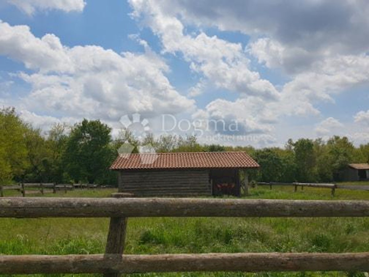 Terreno Heki, Pazin - Okolica, 13.079m2