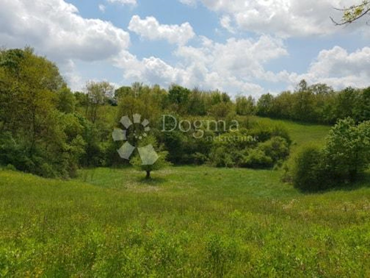 Terreno Heki, Pazin - Okolica, 13.079m2