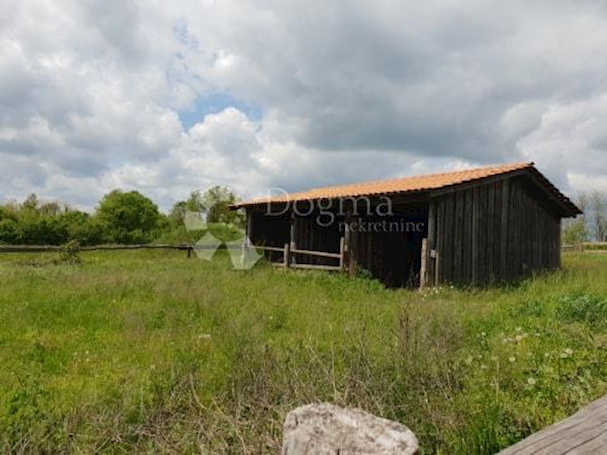 Terreno Heki, Pazin - Okolica, 13.079m2