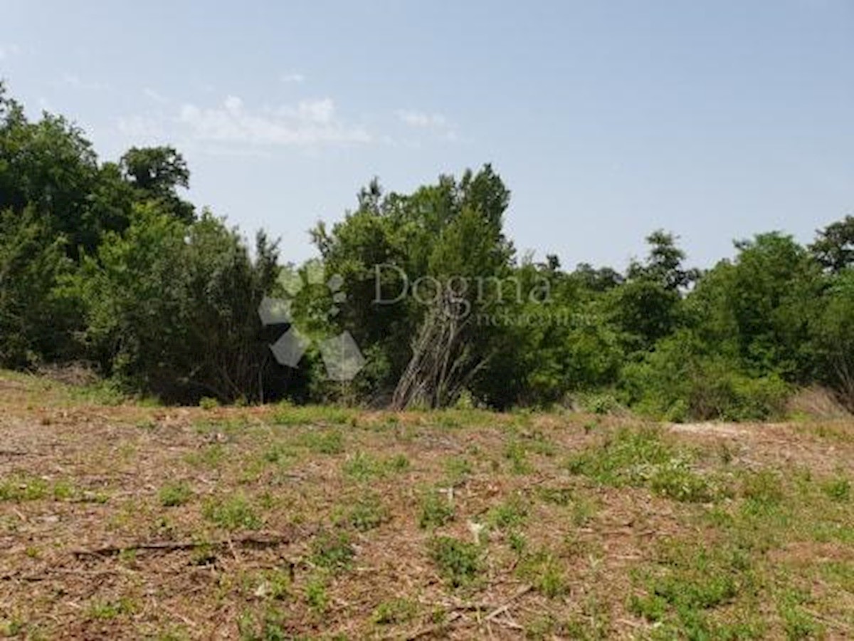 Terreno Svetvinčenat, 11.814m2