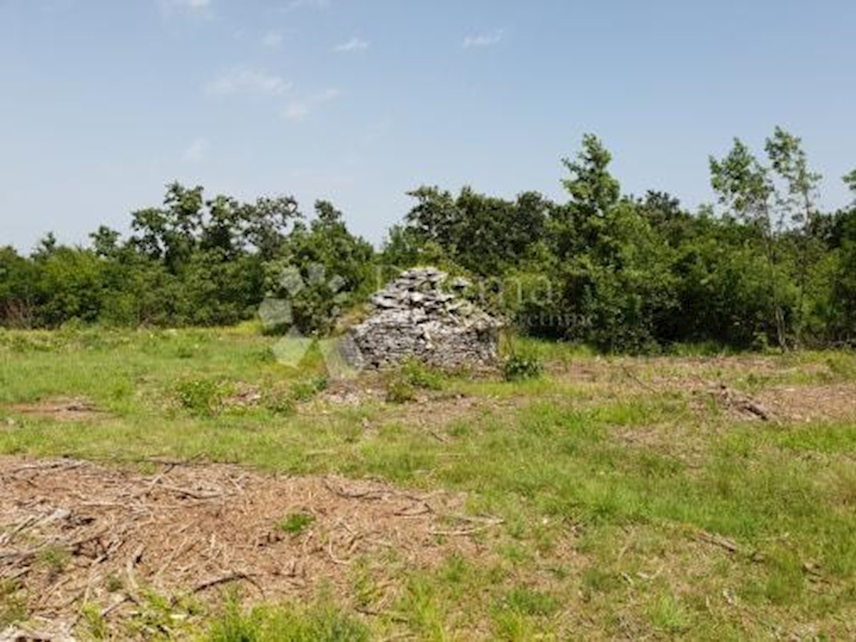 Terreno Svetvinčenat, 11.814m2