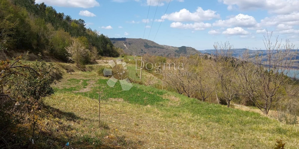 Terreno Butoniga, Pazin - Okolica, 5.967m2