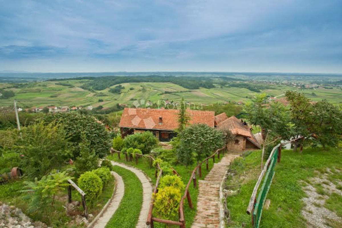 Casa Donje Orešje, Sveti Ivan Zelina, 11.000m2