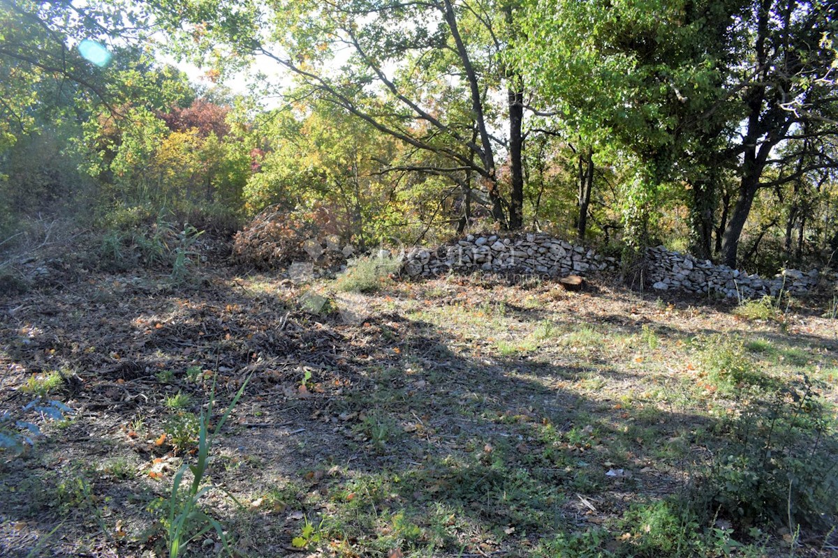 TERRENO EDIFICABILE IN OTTIMA POSIZIONE