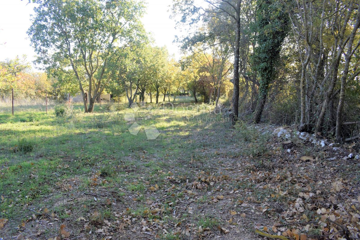 TERRENO EDIFICABILE IN OTTIMA POSIZIONE