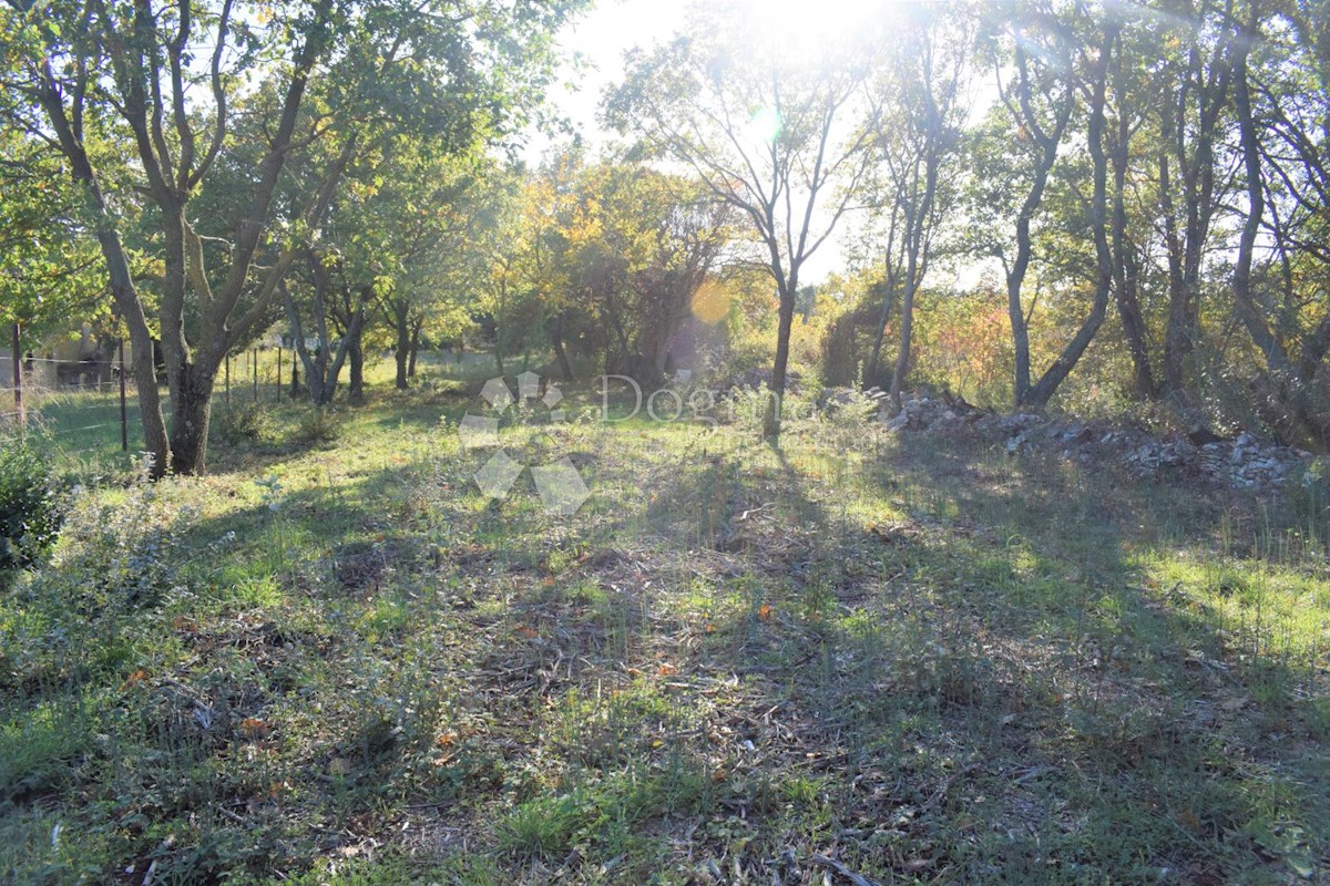 TERRENO EDIFICABILE IN OTTIMA POSIZIONE