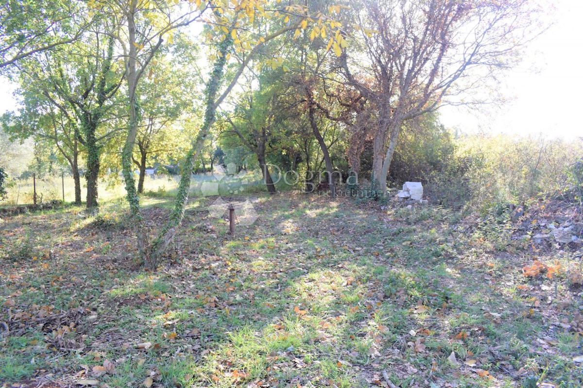 TERRENO EDIFICABILE IN OTTIMA POSIZIONE