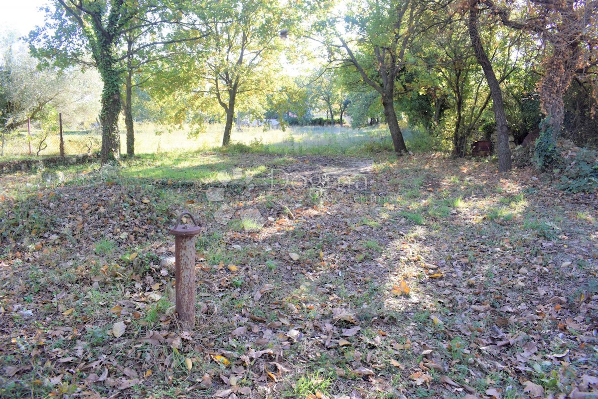 TERRENO EDIFICABILE IN OTTIMA POSIZIONE