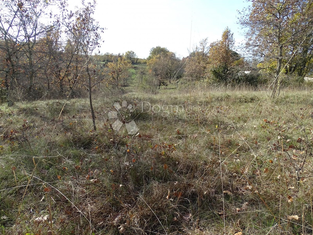 Terreno Završje, Grožnjan, 3.500m2