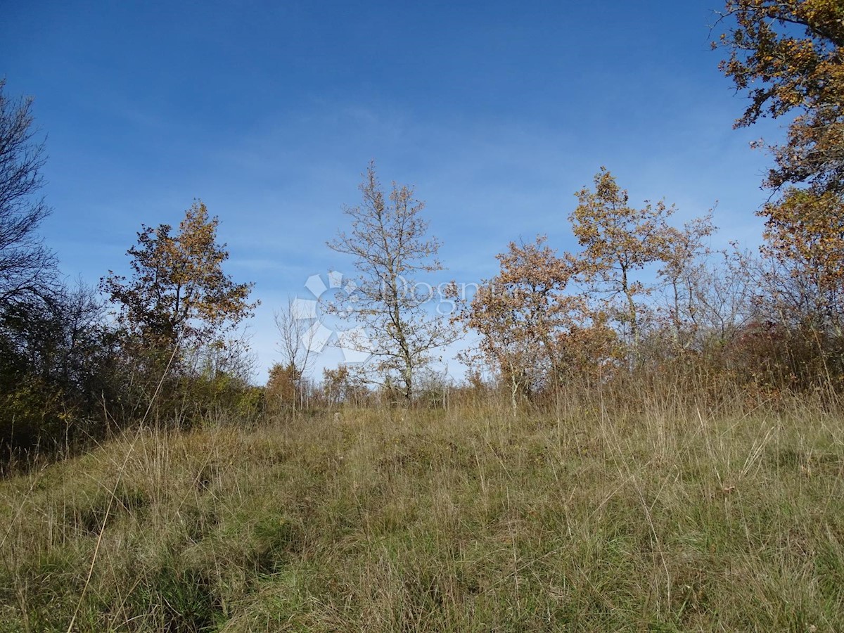 Terreno Završje, Grožnjan, 3.500m2