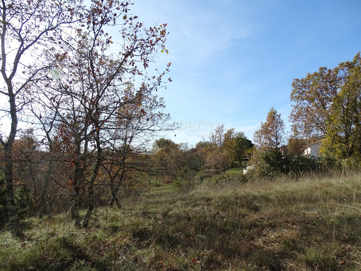 Terreno Završje, Grožnjan, 3.500m2