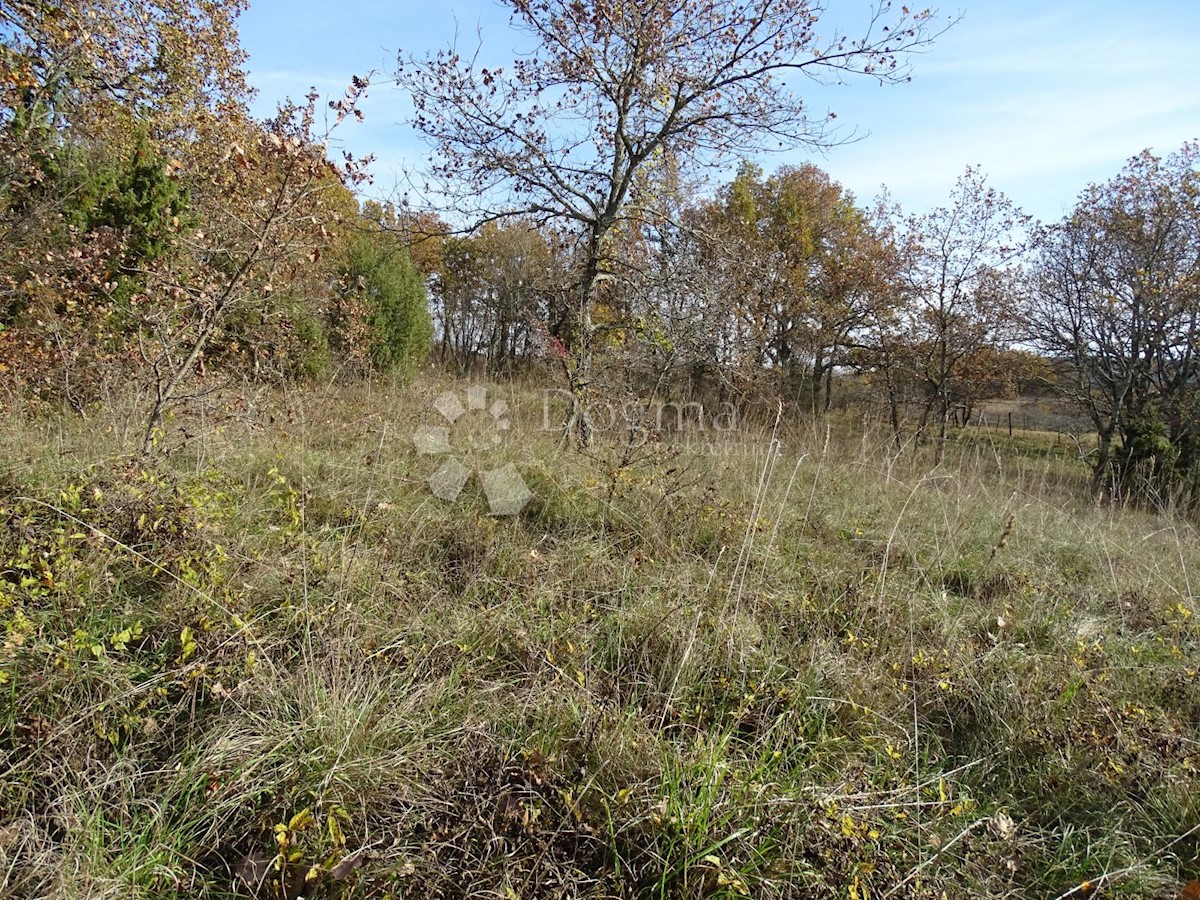 Terreno Završje, Grožnjan, 3.500m2