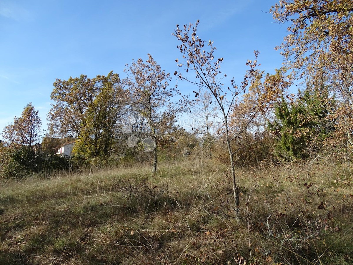 Terreno Završje, Grožnjan, 3.500m2