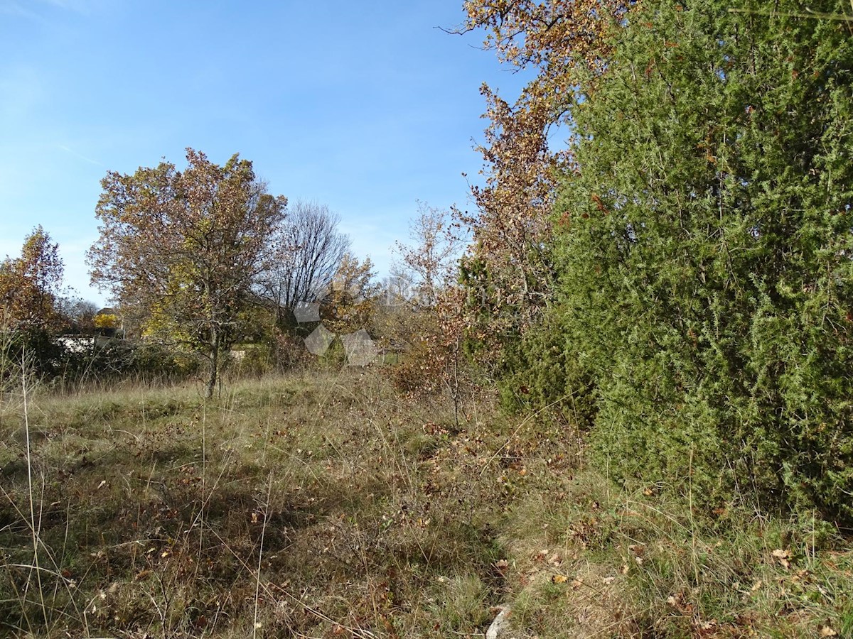 Terreno Završje, Grožnjan, 3.500m2