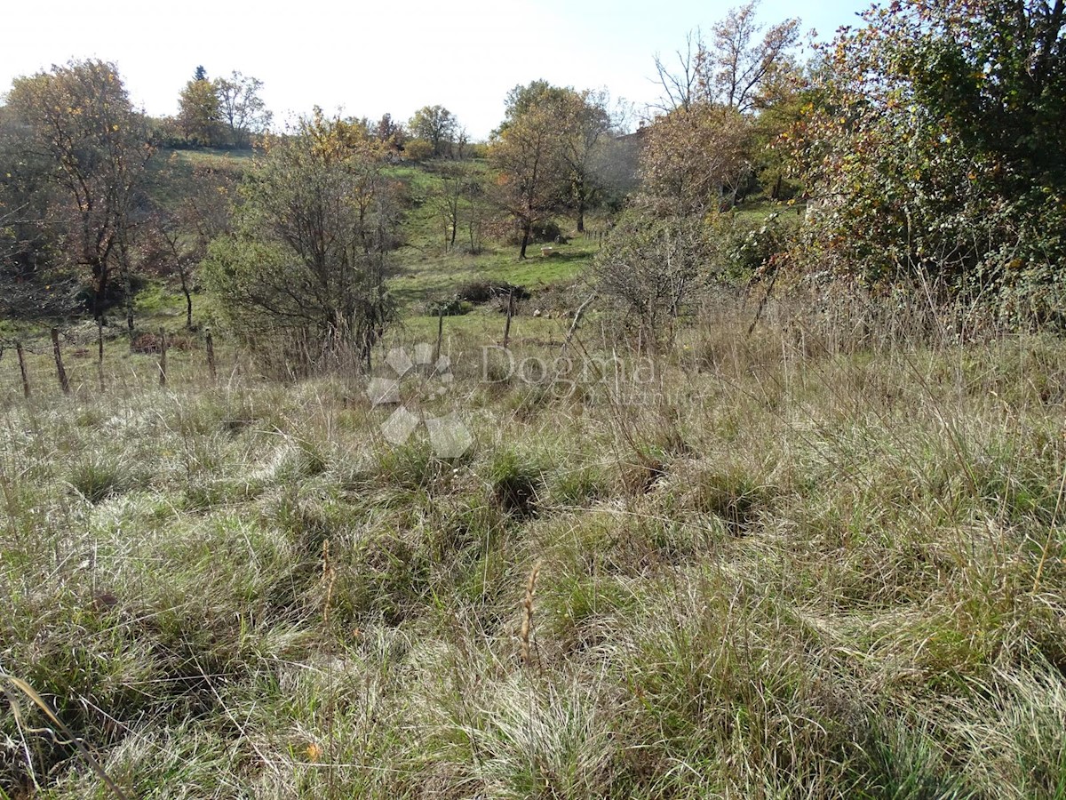 Terreno Završje, Grožnjan, 3.500m2