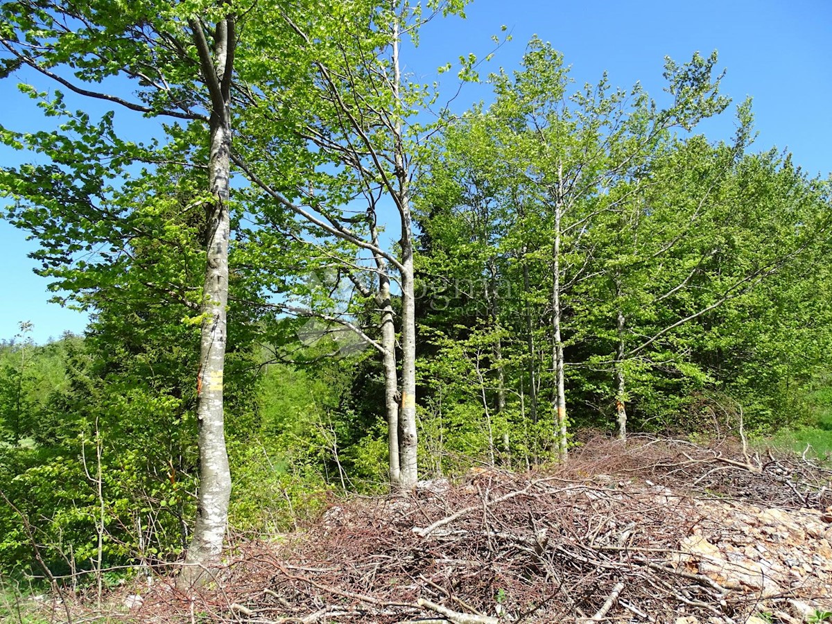 Terreno Slavica, Fužine, 20.000m2