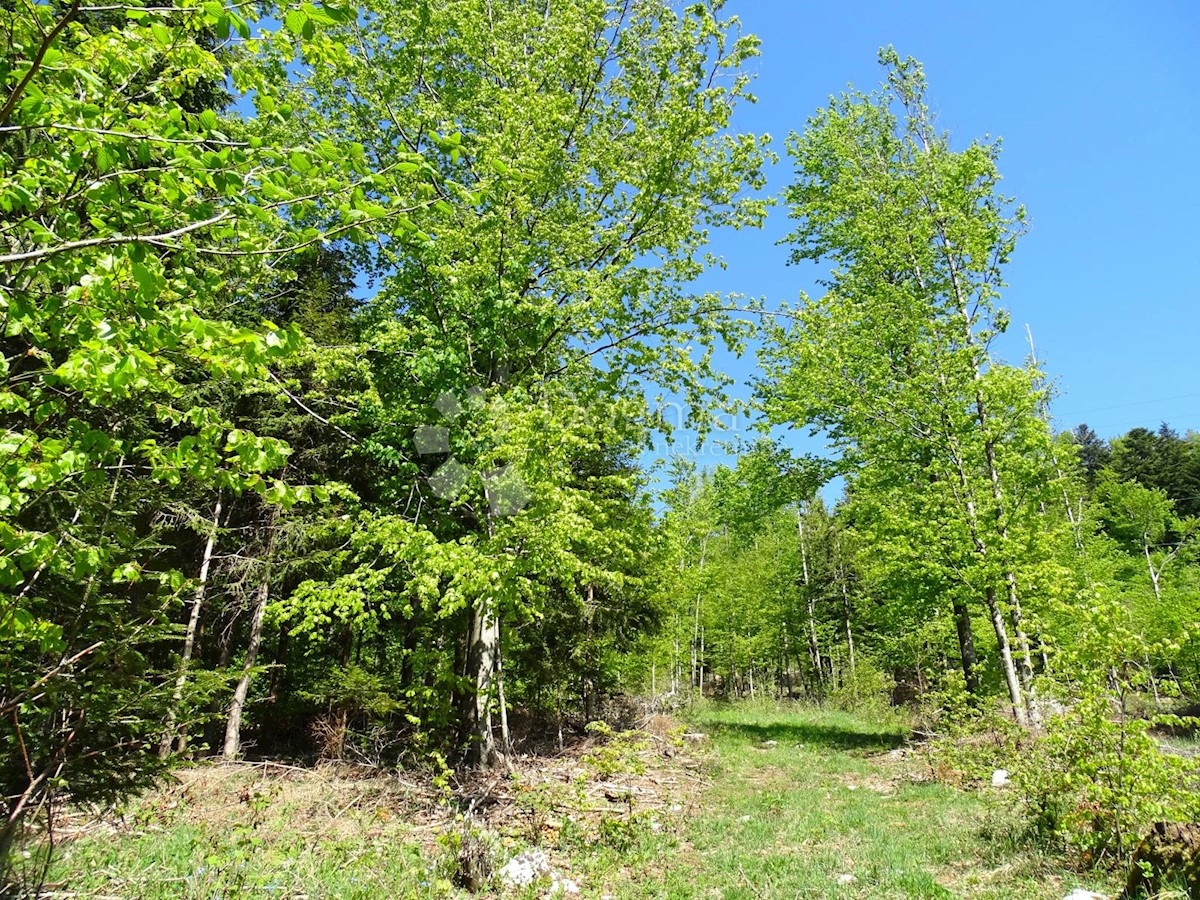 Terreno Slavica, Fužine, 20.000m2