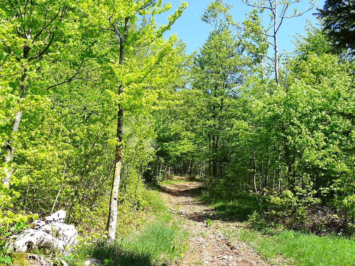 Terreno Slavica, Fužine, 20.000m2