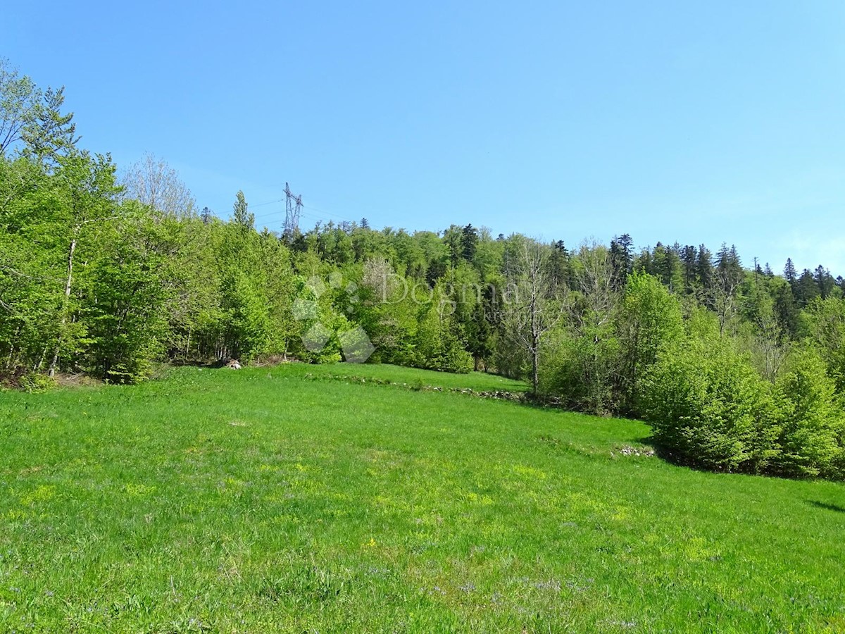 Terreno Slavica, Fužine, 20.000m2