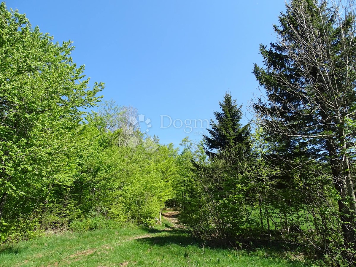 Terreno Slavica, Fužine, 20.000m2