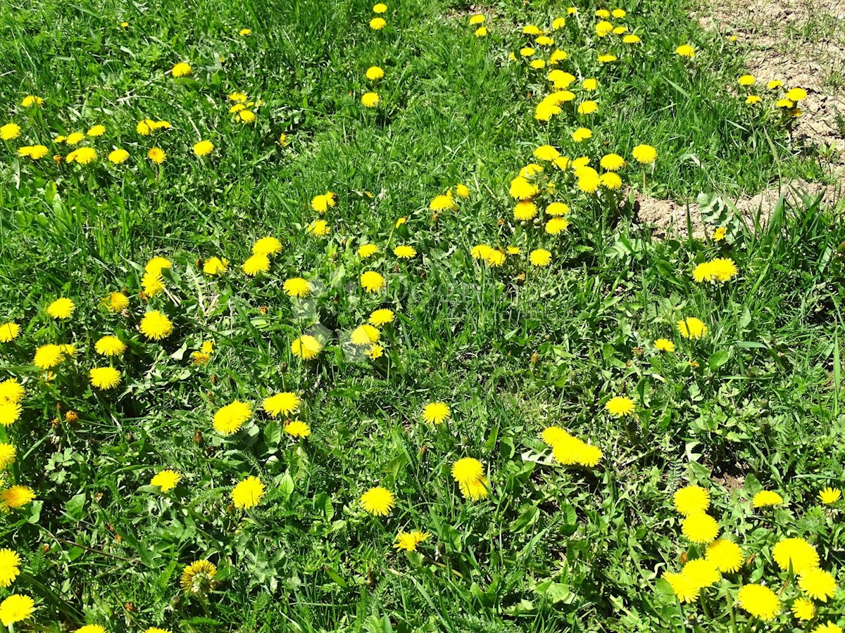 Terreno Slavica, Fužine, 20.000m2