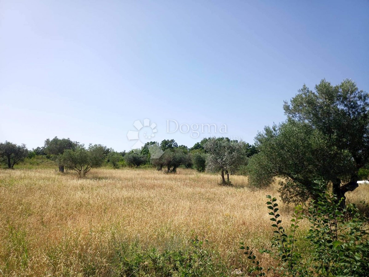 Terreno Gajana, Vodnjan, 3.818m2